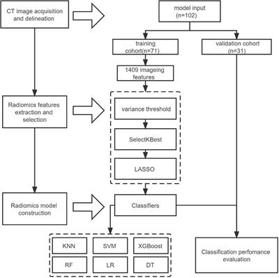 The value of CT radiomic in differentiating mycoplasma pneumoniae pneumonia from streptococcus pneumoniae pneumonia with similar consolidation in children under 5 years